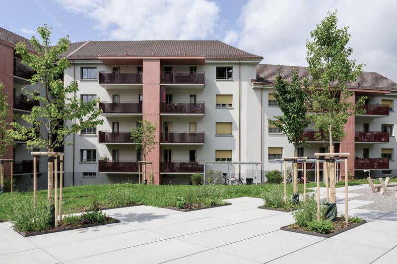 Sind Sie mit dem Zug unterwegs? Wir haben die perfekte Pendlerwohnung! (1)