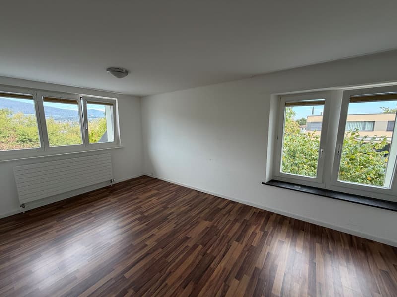 Wohnglück in Dulliken - Ihr neues Zuhause! (5)