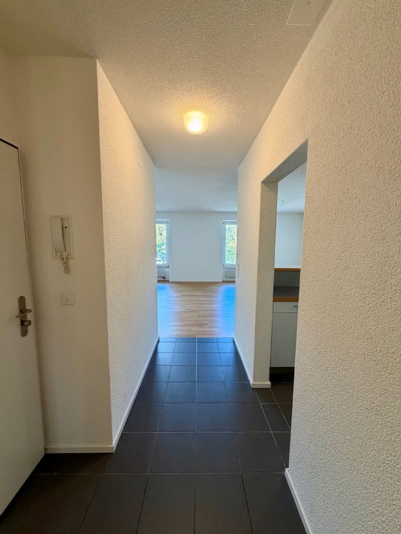 Charmantes Wohnen im Herzen von Olten! (8)