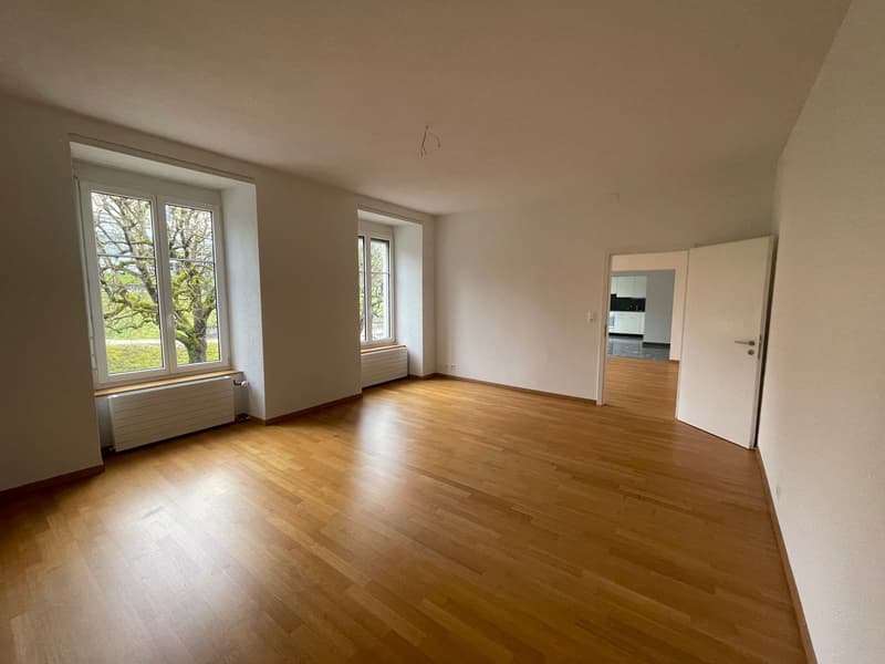 Charmante 3-Zimmer-Wohnung in historischem Gebäude in Baden (5)
