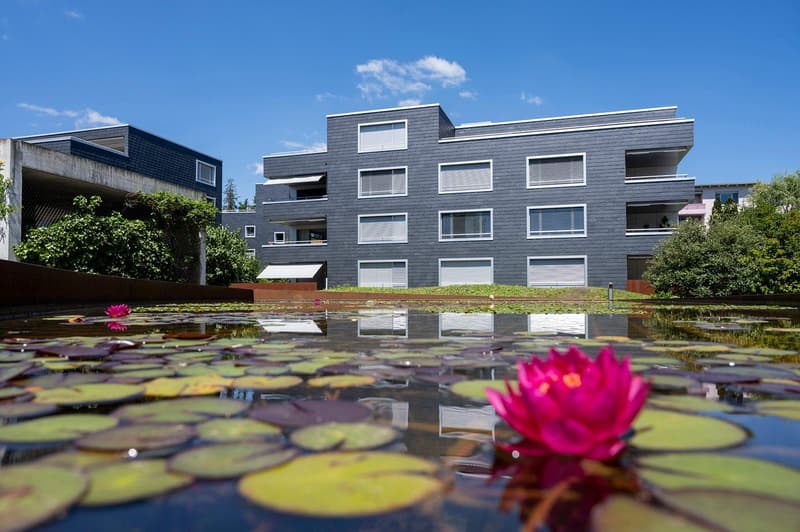 Modern apartment building with gray exterior, multiple windows, and a pond with water lilies in front