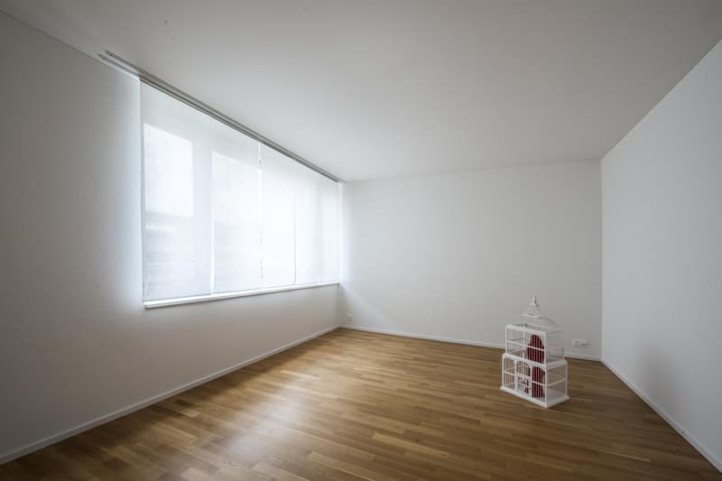 empty room, wooden floor, white walls, large window, white curtains