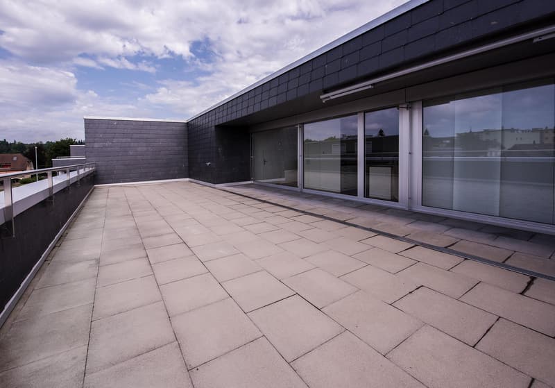 Rooftop terrace with tiled floor, metal railing, glass doors, and windows