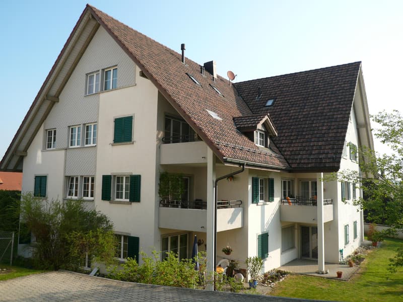 4.5 Zimmerwohnung in Hagenbuch (1)