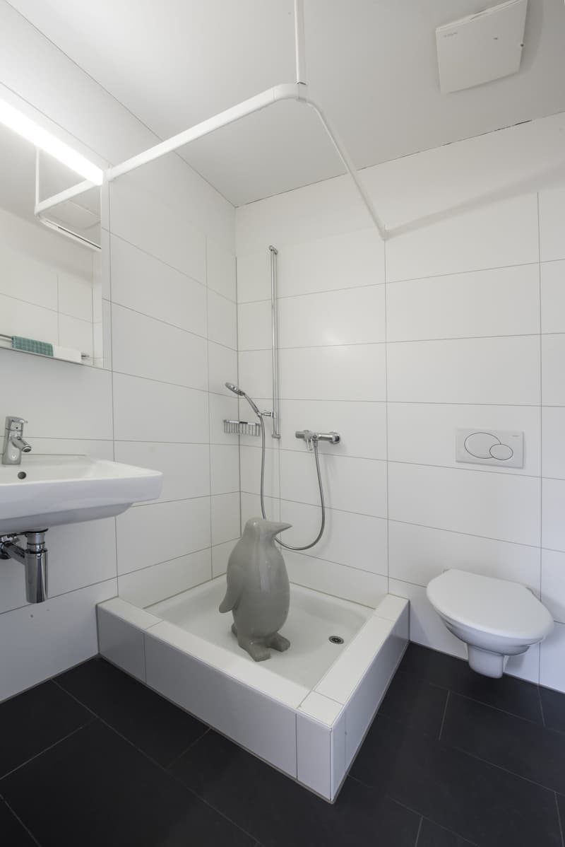 Modern wohnen mit viel Komfort – attraktive 3.5-Zimmer-Wohnung in Unterentfelden (8)