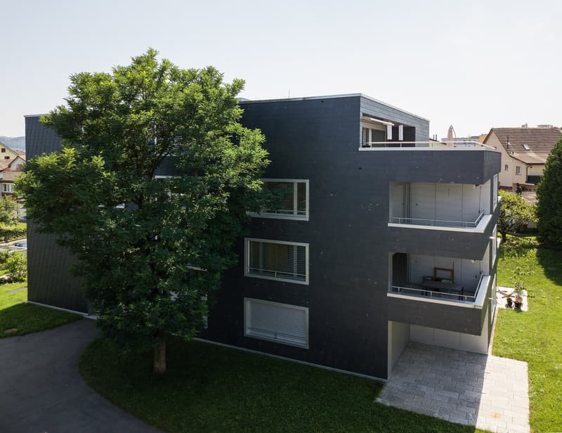 Moderne 2.5-Zimmer-Wohnung mit grossem Sitzplatz in Unterentfelden (1)