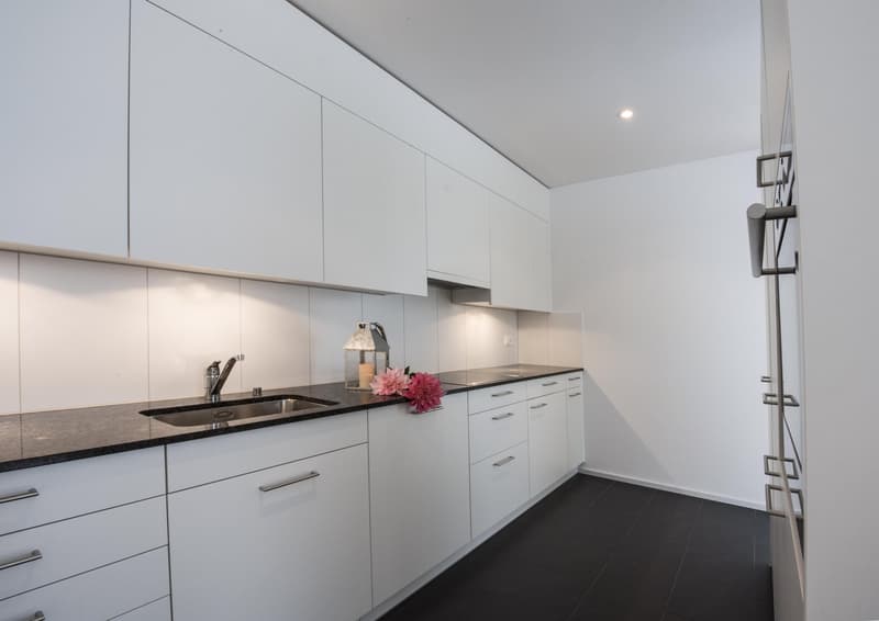 Moderne 2.5-Zimmer-Wohnung mit grossem Sitzplatz in Unterentfelden (2)