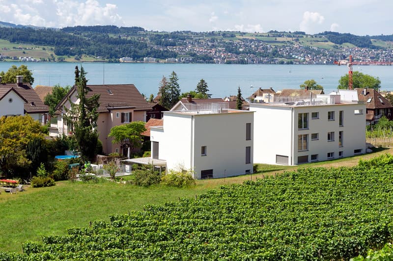 Einfamilienhaus an traumhafter Lage in Stäfa (2)