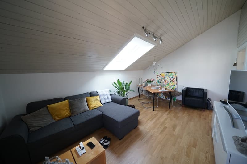 2-Zimmer Dachwohnung mit Blick über Schaffhausen (5)
