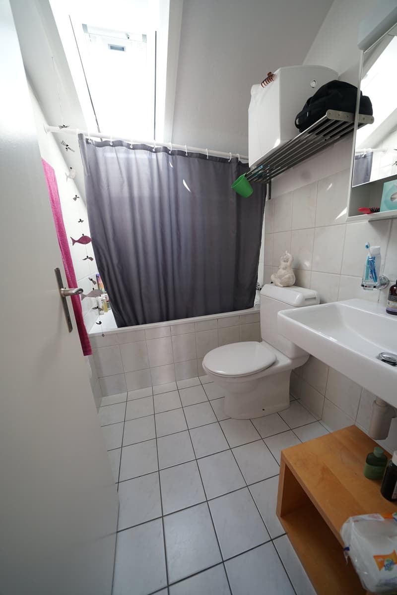 2-Zimmer Dachwohnung mit Blick über Schaffhausen (8)