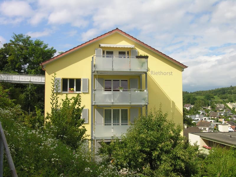 2-Zimmer Dachwohnung mit Blick über Schaffhausen (2)