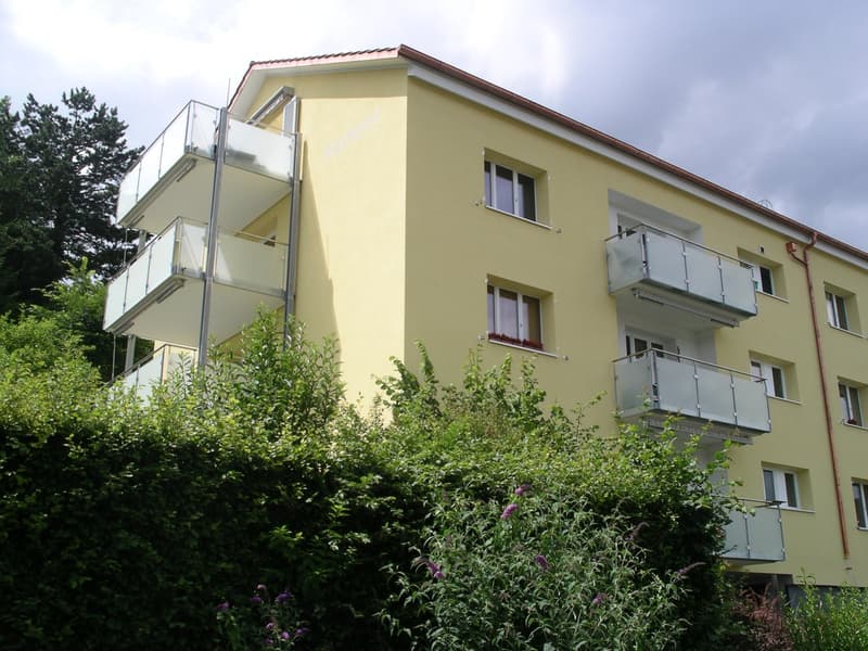 2-Zimmer Dachwohnung mit Blick über Schaffhausen (1)