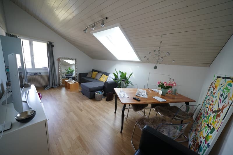 2-Zimmer Dachwohnung mit Blick über Schaffhausen (4)