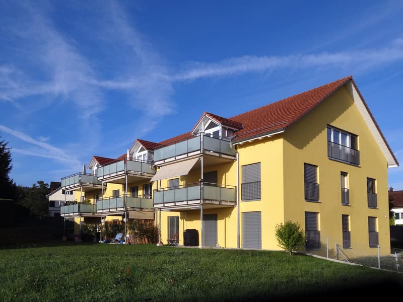 Helle 4.5-Zimmer-Wohnung mit Balkon und schöner Aussicht in Oetwil am See (1)