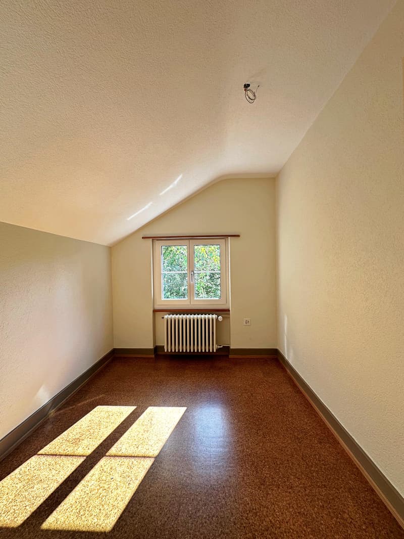 Wohnen in Rheinnähe im schönen Eglisau (9)