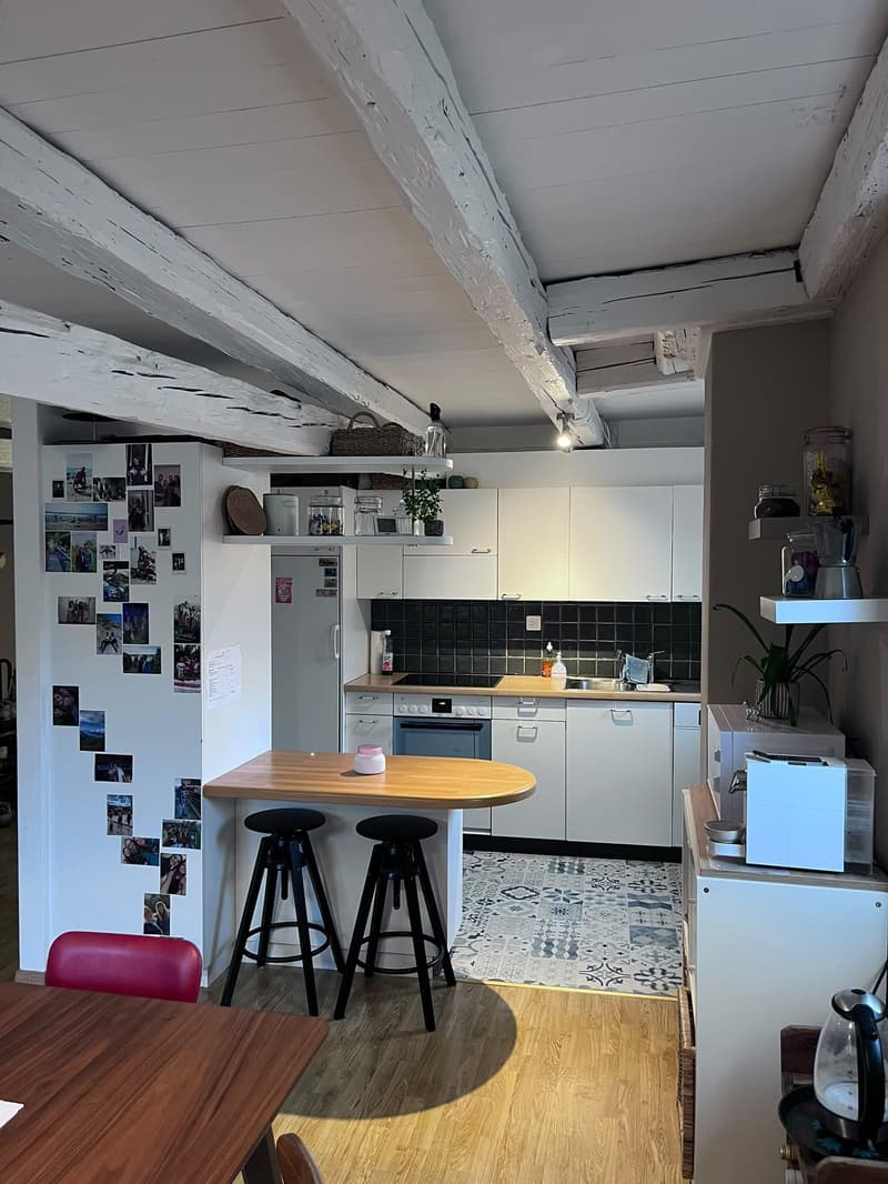 Charmante Altbauwohnung in Schaffhausen (3)