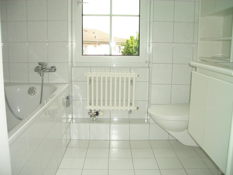 Altbaucharme trifft Lebensqualität – Ihr neues Zuhause in Thalwil! (6)