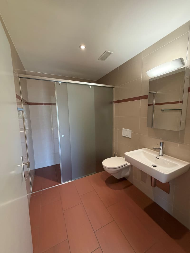 4.5 Zimmerwohnung in Winterthur (4)