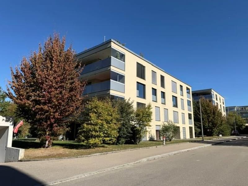 4.5 Zimmerwohnung in Winterthur (1)