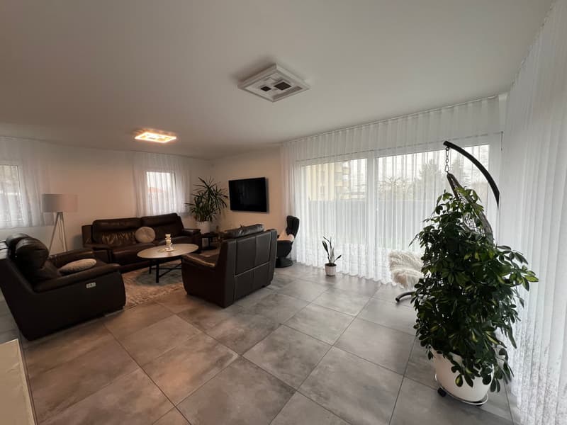 modern furniture, leather sofa, coffee table, TV, white floor, large windows, indoor plants, curtains