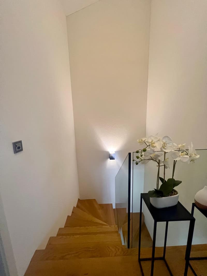 glass staircase, light on the wall, flower vase, wooden floor
