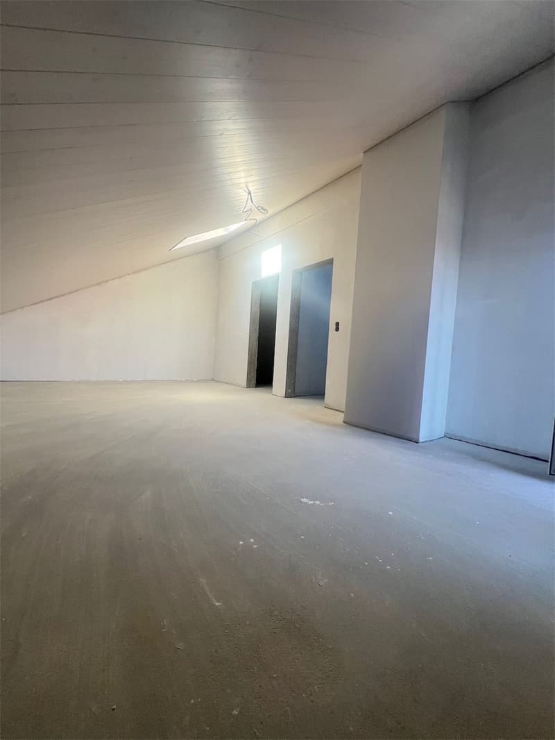 Empty room, white walls and ceiling, concrete floor, two doors, ceiling light