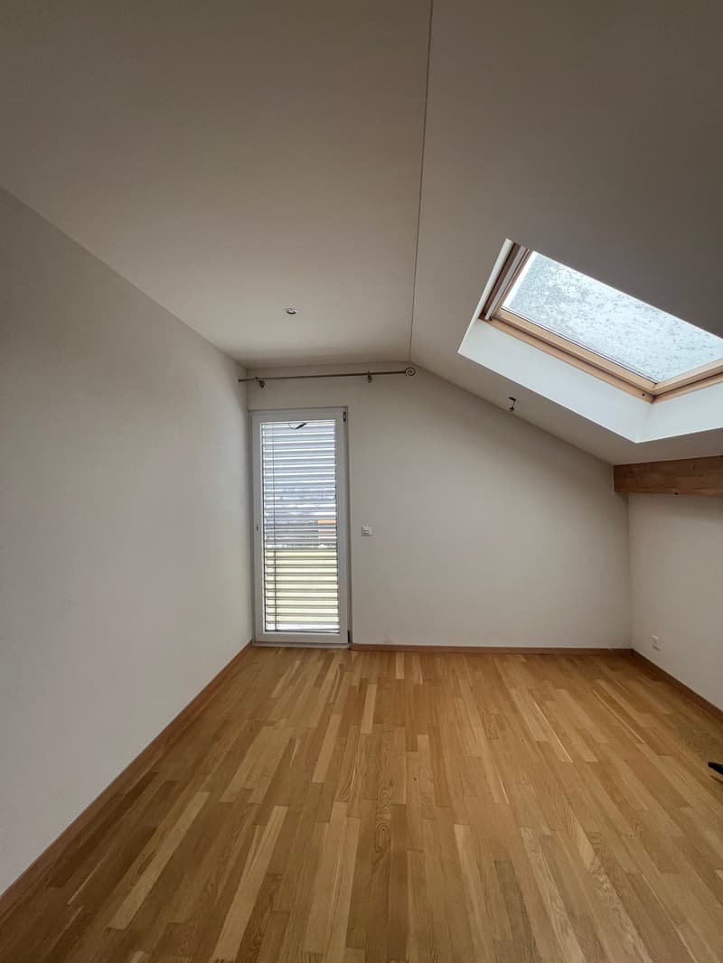 empty room, wooden floor, white walls, glass door, skylight