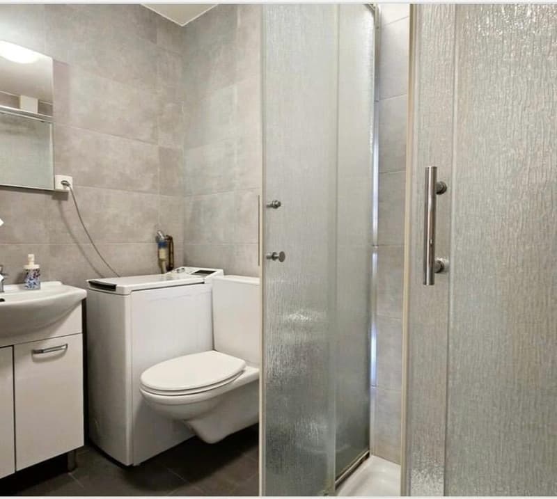 Bathroom with a toilet, sink, washing machine, and shower