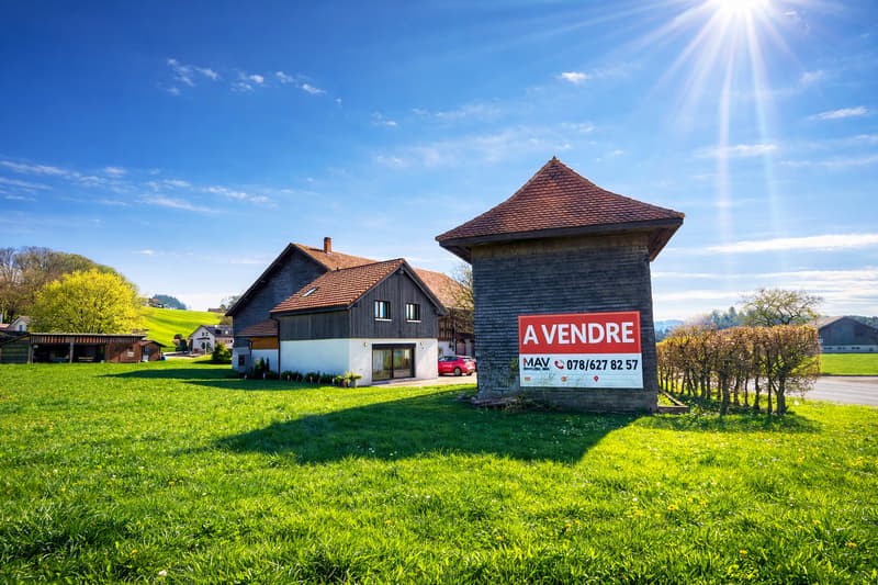 Objet rare au cœur de la campagne fribourgeoise (3)