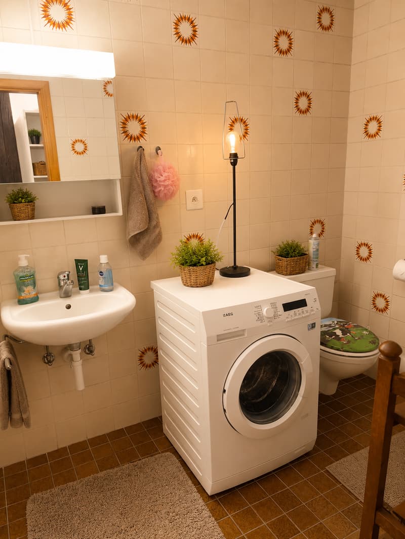 À louer – Charmant appartement de 3.5 pièces sous les combles à Romont (5)