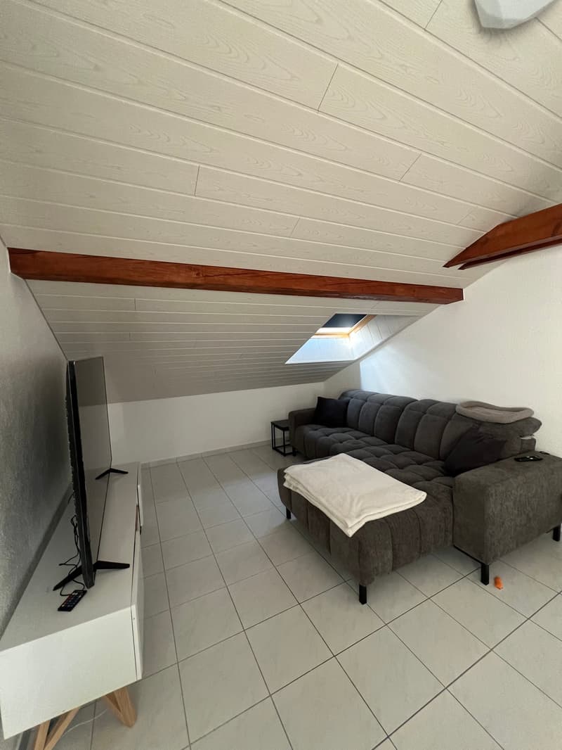 Immeuble de rendement entièrement loué – Courtepin (8)
