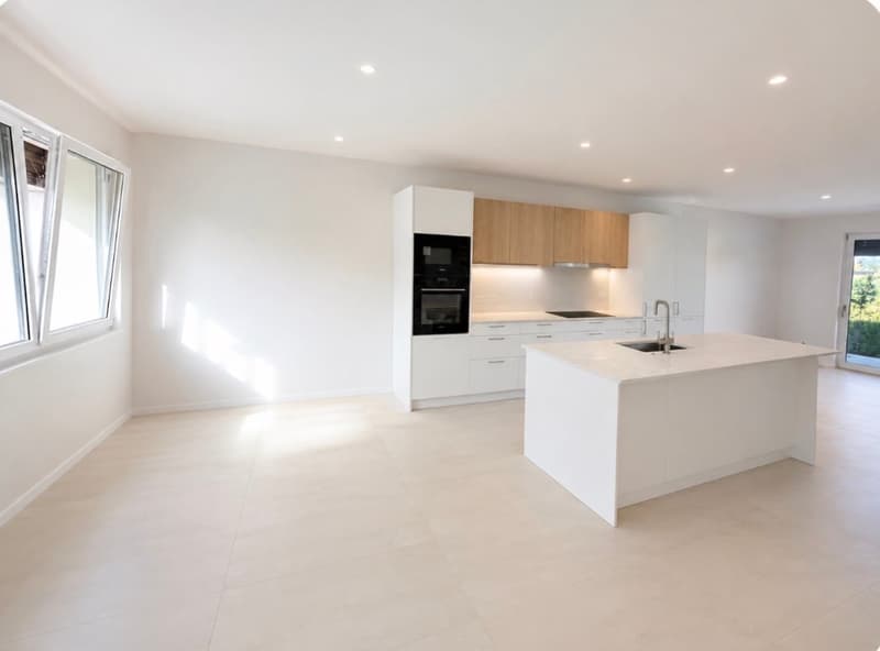 Villa mitoyenne neuve de 5 pièces – Disponible immédiatement (3)