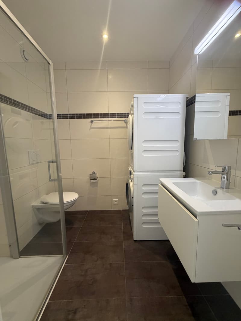 À louer – Magnifique appartement récent de 3.5 pièces à Romont (7)