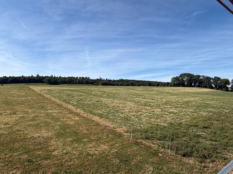 Nouveau à Lussy (FR)     Plus que 3 villas disponibles ! (10)