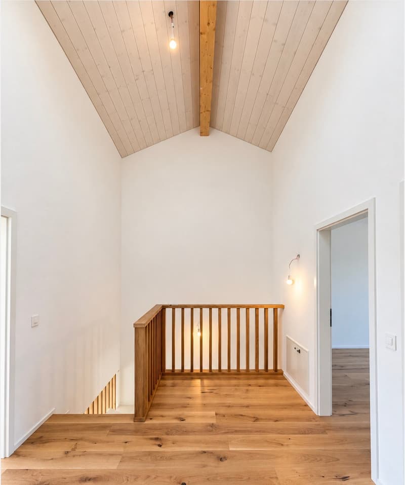 DERNIÈRE VILLA NEUVE À VUISTERNENS – DISPONIBLE IMMÉDIATEMENT ! (6)