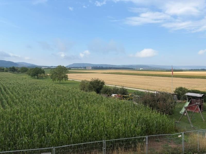 BLICK INS GRÜNE! (2)