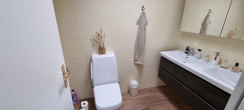 Gepflegte Attika-Wohnung im Herzen von Oberuzwil (10)