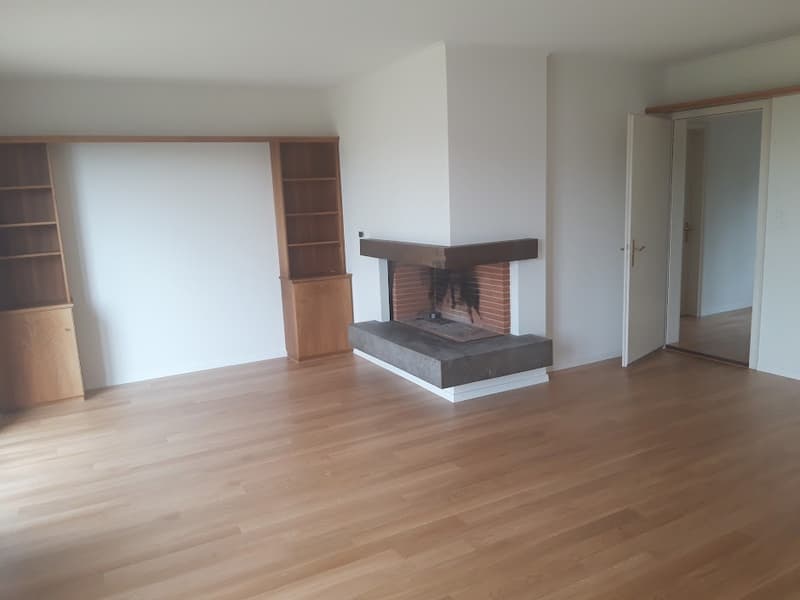 Mehr-Generationen-Villa mit viel Platz und grossem Umschwung! (11)