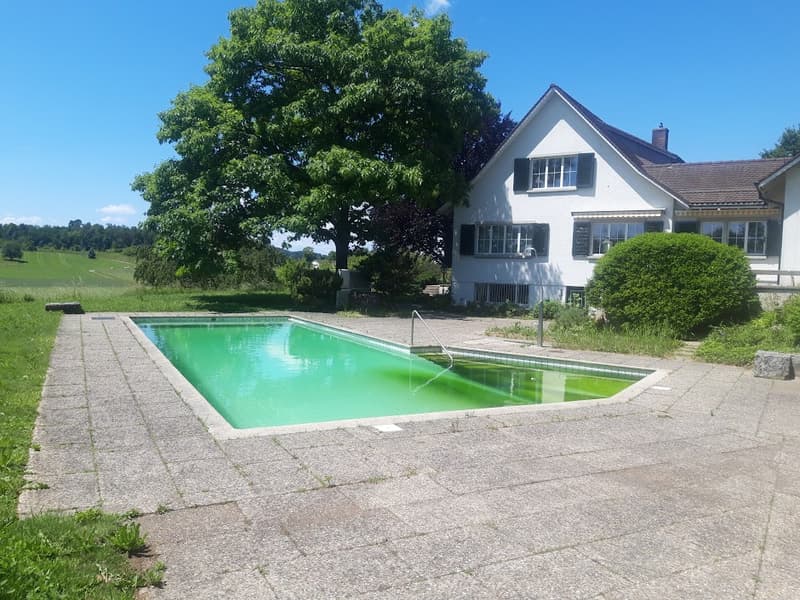 Mehr-Generationen-Villa mit viel Platz und grossem Umschwung! (6)
