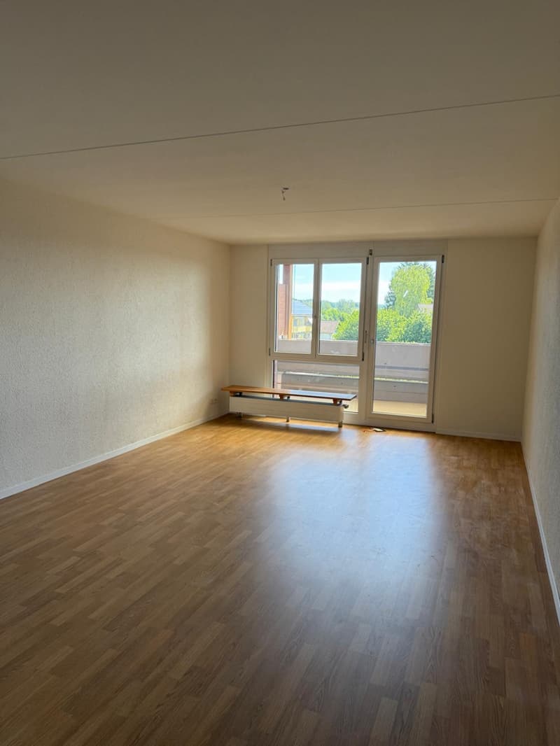 Zimmer