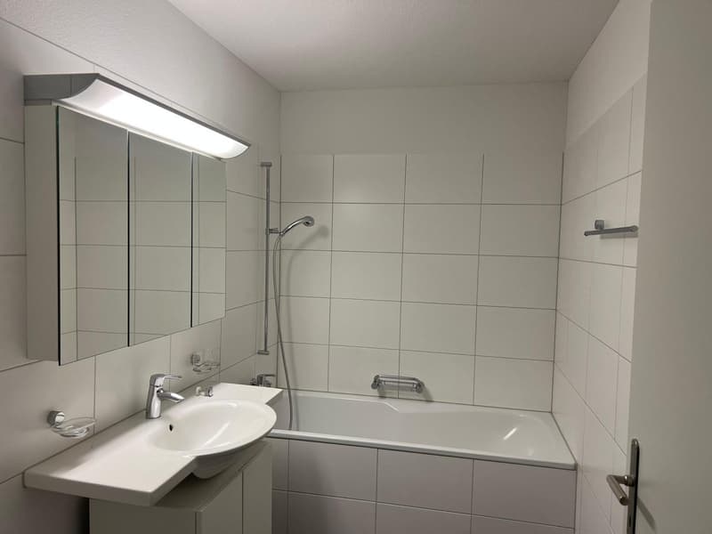 Wohnen beim Löwen Center Luzern - Grosszügige, helle 2.5 Zimmer Wohnung zu mieten (6)
