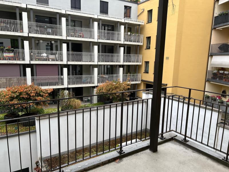 Wohnen beim Löwen Center Luzern - Grosszügige, helle 2.5 Zimmer Wohnung zu mieten (9)