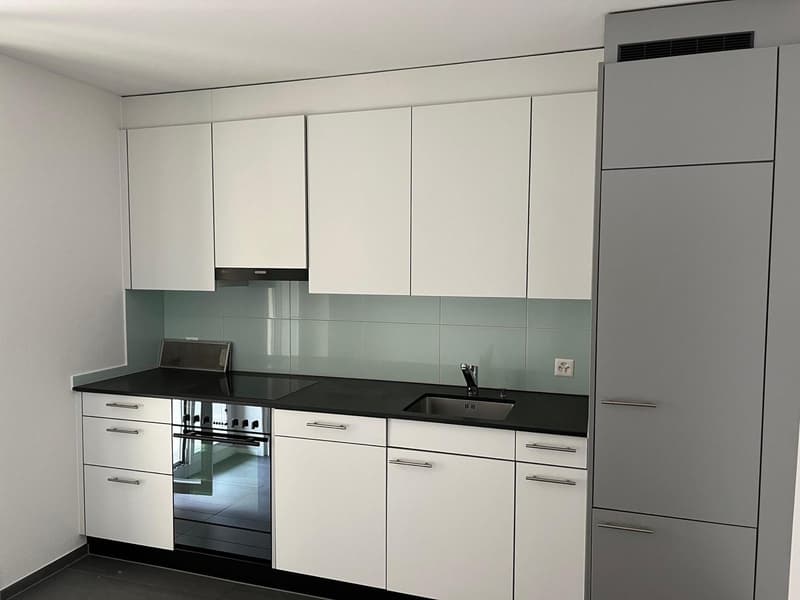 Wohnen beim Löwen Center Luzern - Grosszügige, helle 2.5 Zimmer Wohnung zu mieten (5)