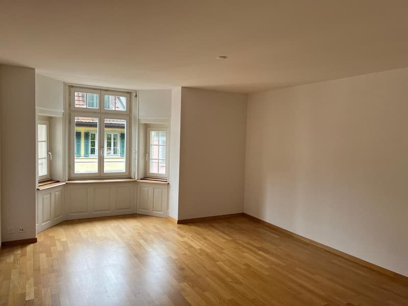 Wohnen beim Löwen Center Luzern - Grosszügige, helle 2.5 Zimmer Wohnung zu mieten (2)
