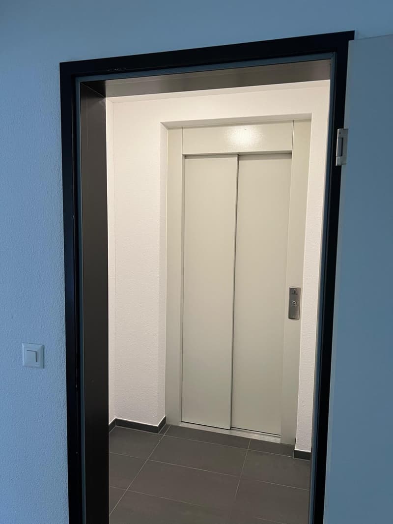 Wohnen beim Löwen Center Luzern - Grosszügige, helle 2.5 Zimmer Wohnung zu mieten (8)