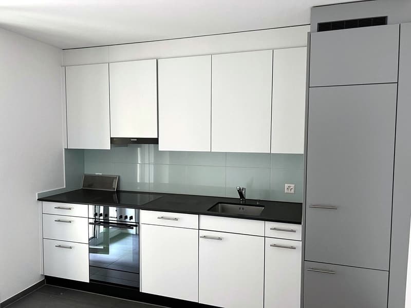 Wohnen beim Löwen Center Luzern - Grosszügige, helle 2.5 Zimmer Wohnung zu mieten (5)