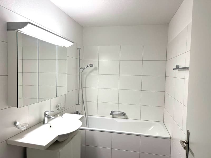 Wohnen beim Löwen Center Luzern - Grosszügige, helle 2.5 Zimmer Wohnung zu mieten (6)