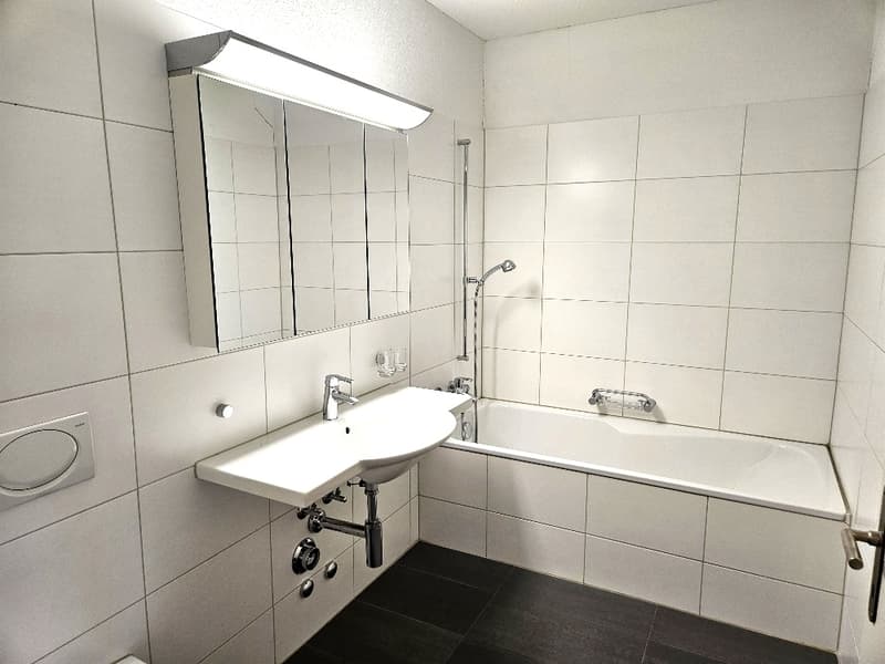 Wohnen wie in den Ferien - 2.5 Zimmer Wohnung im Löwen Center Luzern mieten (6)