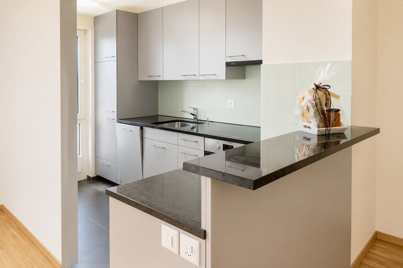 3.5 Maisonette-Wohnung im Löwen Center Luzern - befristet mieten bis Ende April 2028 (5)