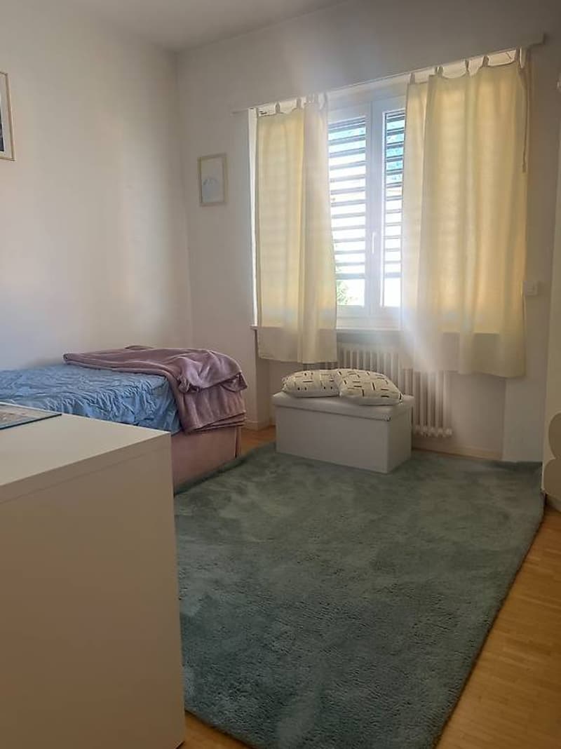 4.5 locali Canobbio - Luminoso appartamento (7)